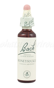 E-shop Honeysuckle - Zimolez kozí list 20 ml - bachove kvapky