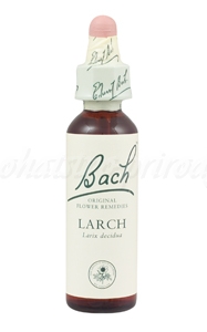 E-shop Larch - Smrekovec opadavý 20 ml - bachove kvapky
