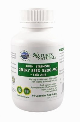 Celery seed 5800 - Zeler