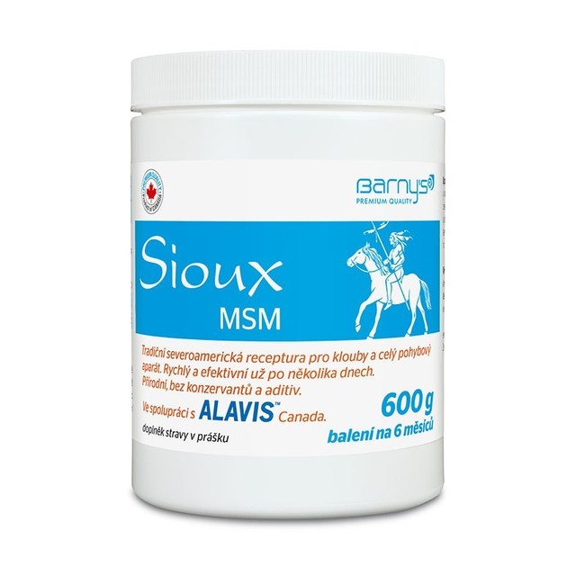 Alavis Sioux MSM - kĺbová výživa