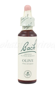 E-shop Olive - Oliva 20 ml - bachove kvapky