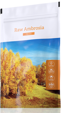 E-shop Raw Ambrosia pieces (Energy), 100g