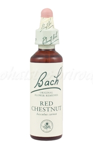 E-shop Red Chestnut - Červený gaštan 20 ml - bachove kvapky