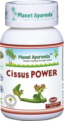 Cissus power - Planet Ayurveda