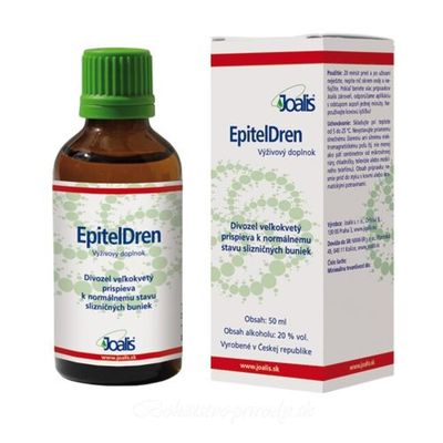 EpitelDren- Joalis - Epitelové bunky