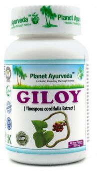 Giloy (Guduchi) - Planet Ayurveda