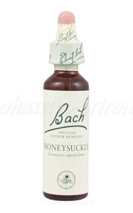 Honeysuckle - Zimolez kozí list 20 ml - bachove kvapky