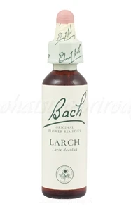 Larch - Smrekovec opadavý 20 ml - bachove kvapky