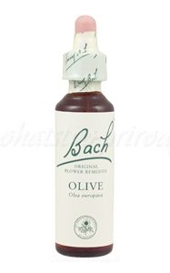 Olive - Oliva 20 ml - bachove kvapky