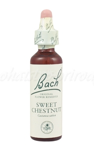 E-shop Sweet Chestnut - Gaštan jedlý 20 ml - bachove kvapky