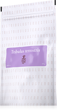 Tribulus Terrestris (kotvičník zemný) čaj