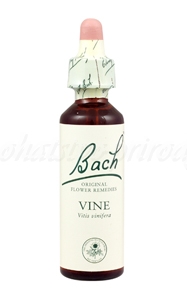 E-shop Vine - Vínna réva 20 ml - bachove kvapky