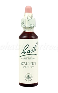 E-shop Walnut - Vlašský orech 20 ml - bachove kvapky