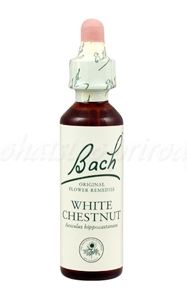 E-shop White Chestnut - Gaštan biely konský 20 ml - bachove kvapky