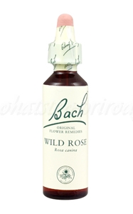E-shop Wild Rose - Planá šípková ruža 20 ml - bachove kvapky