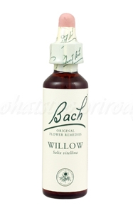 E-shop Willow - Vŕba žltá 20 ml - bachove kvapky