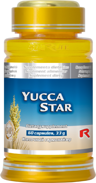 E-shop Yucca Star